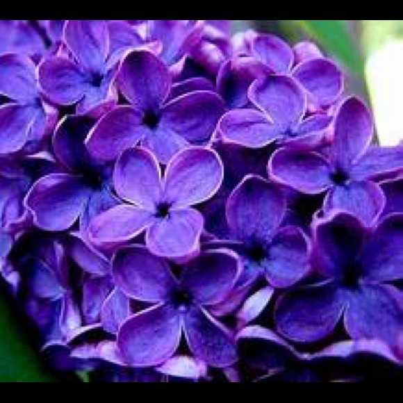 💫⭐️thanks for shopping with us!⭐️💫@magnaplus55 - Picture 1 of 1